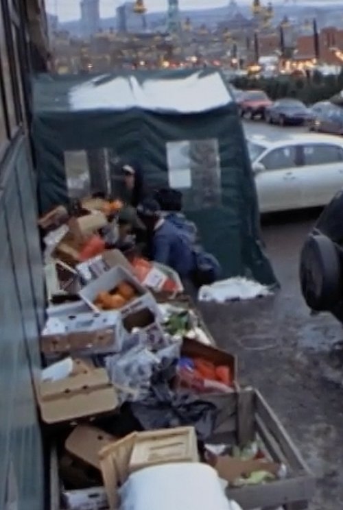 Surfing the Waste: a Musical Documentary about Dumpster Diving Poster