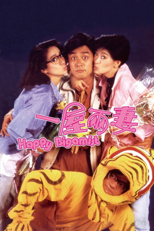 一屋两妻电影海报