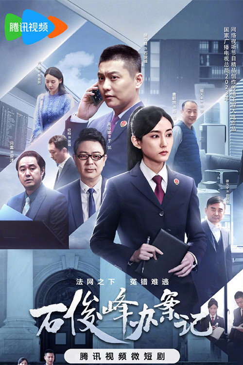 The Prosecutor and His Cases poster 2