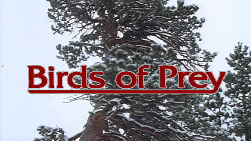 Birds of Prey
