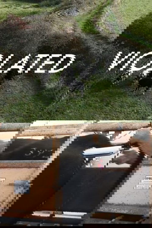Violated Poster