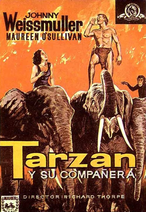 Tarzán y su compañera