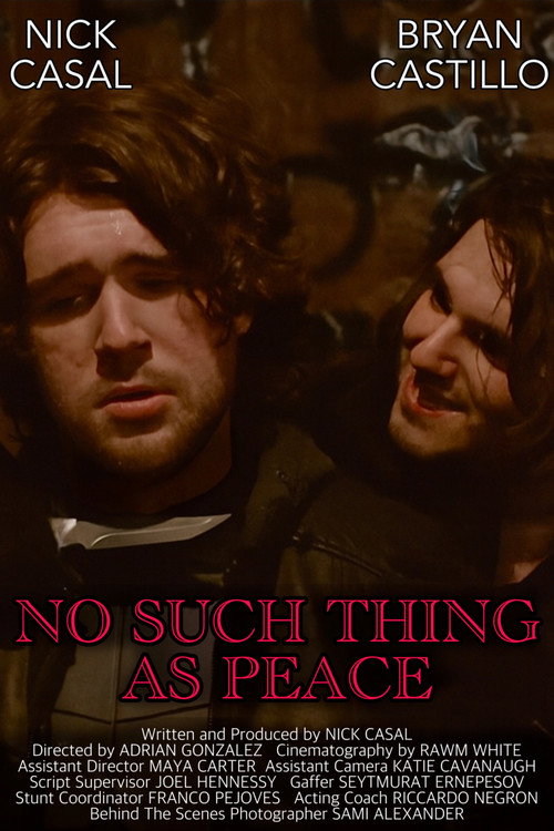 No Such Thing As Peace电影海报
