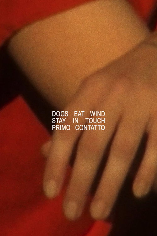 Stay in Touch - Primo Contatto's poster