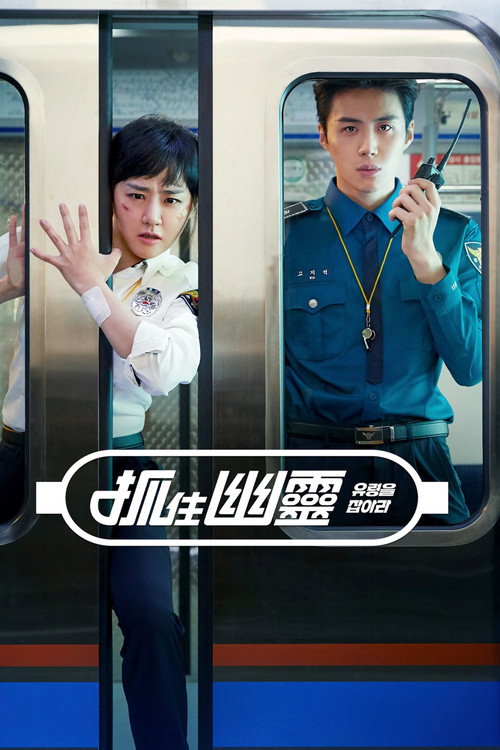 抓住幽灵电影海报