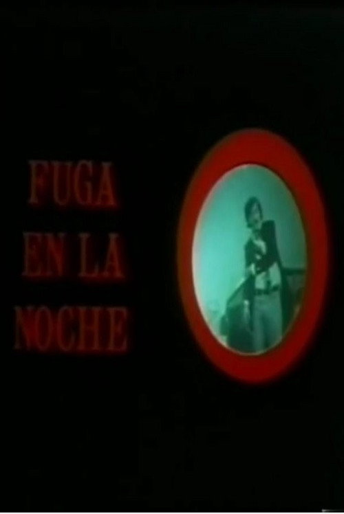 Fuga en la noche poster 2