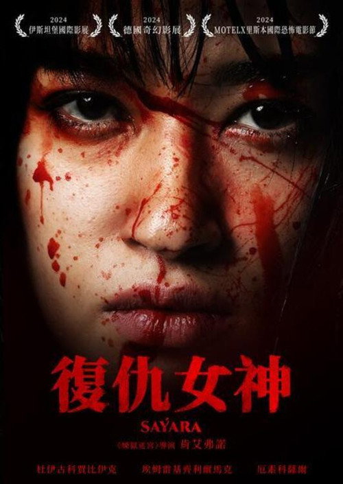 复仇女神电影海报