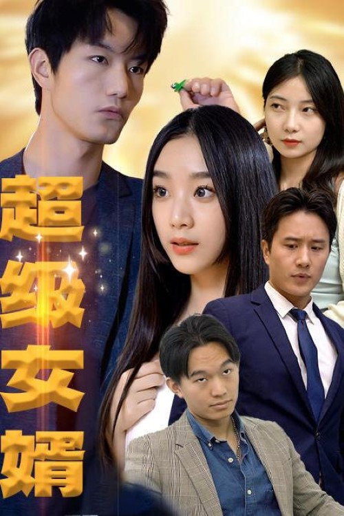 超级女婿电影海报