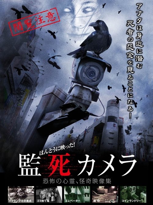 It Really Reflected! Captive Camera Poster