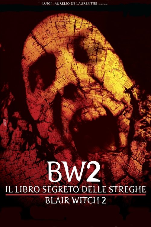 Il+libro+segreto+delle+streghe+-+Blair+Witch+2