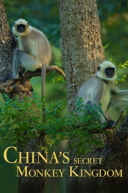 China%27s+Secret+Monkey+Kingdom