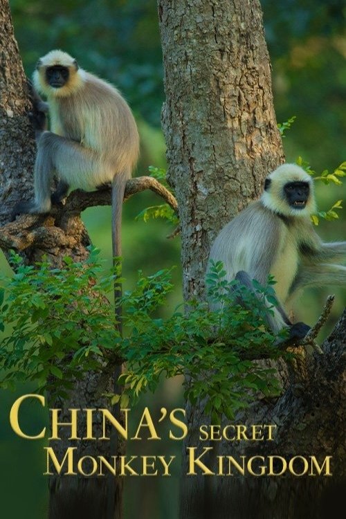 El reino secreto de los monos de China
