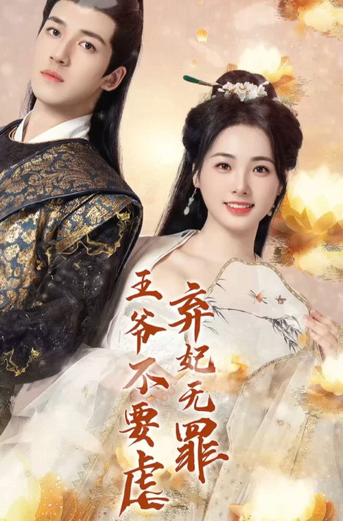 弃妃无罪王爷不要虐电影海报