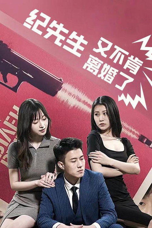 纪先生又不肯离婚了电影海报
