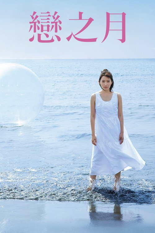 恋之月电影海报