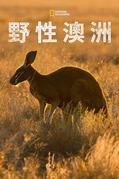 野性澳大利亚电影海报