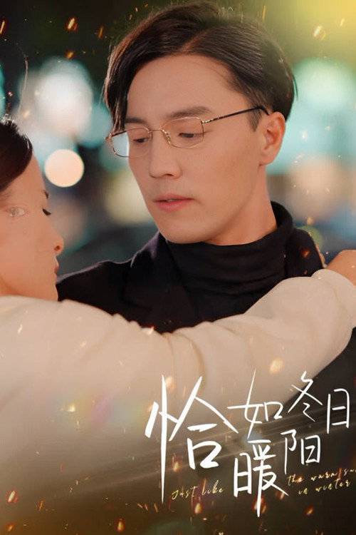 恰如冬日暖阳电影海报