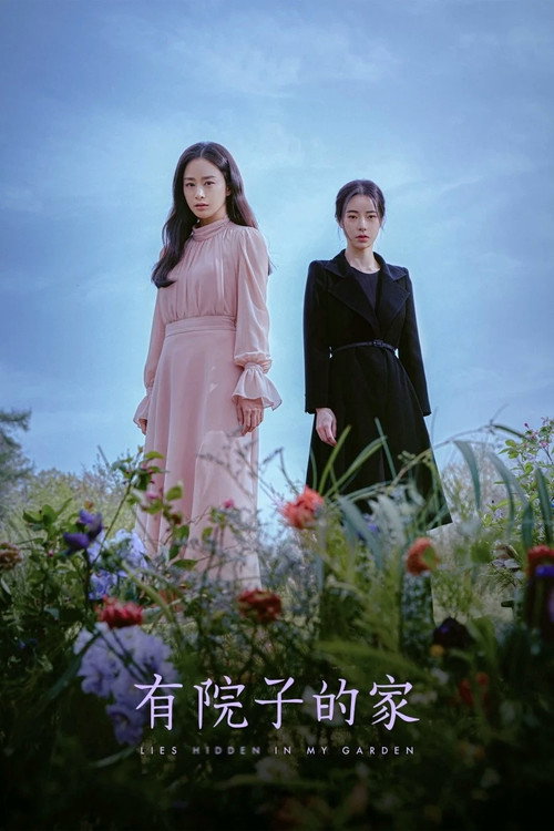 有院子的家电影海报