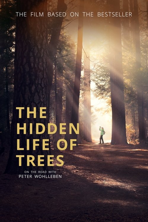 The+Hidden+Life+of+Trees