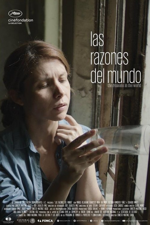 The Reasons in the World Poster