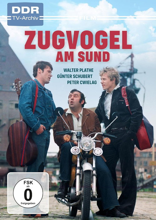 Zugvogel am Sund poster 3