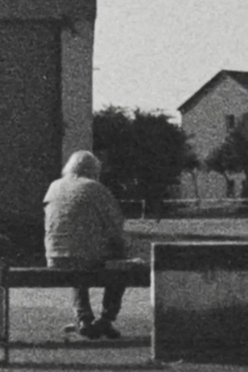 The B-side of the Landscape's poster