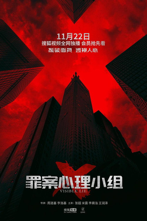 Visible Lie poster 2