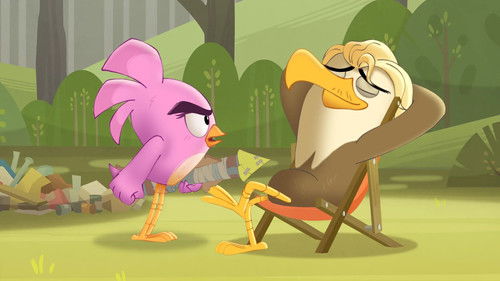 Angry Birds: Summer Madness - 8. Bölüm