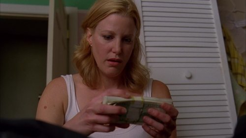 Breaking Bad - Devam