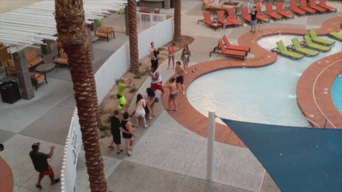 Vacation Gone Wrong