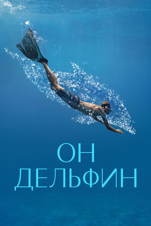 He's a Dolphin