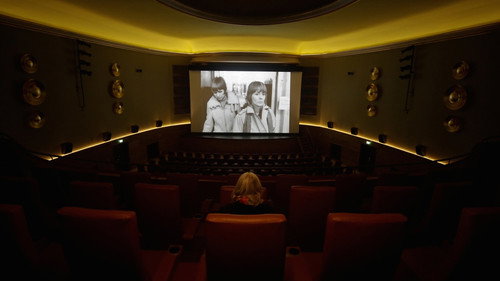 Backdrop