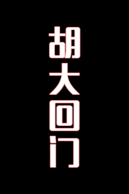 胡大回门-花鼓戏电影海报