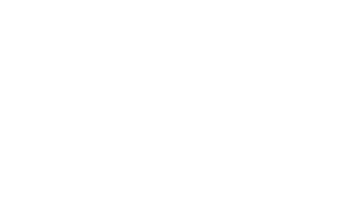 Making The Disney Wish: Disney’s Newest Cruise Ship Logo