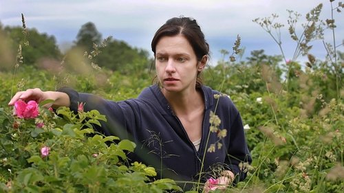 Wild Roses (2017) Watch Stream