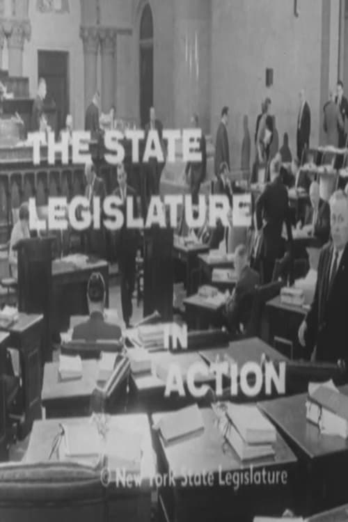 The+State+Legislature+in+Action