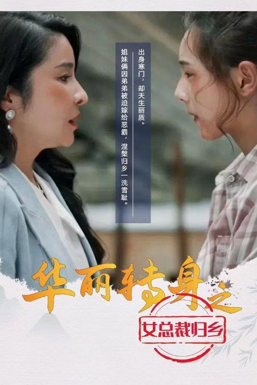 华丽转身之女总裁归乡电影海报