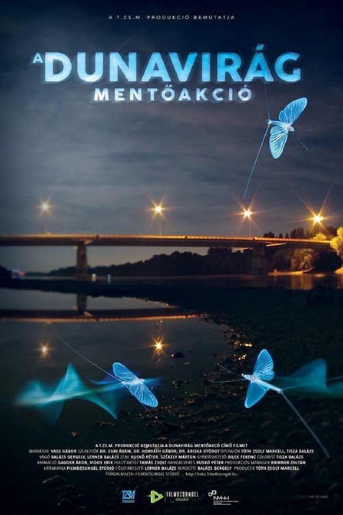 Operation Mayfly Poster