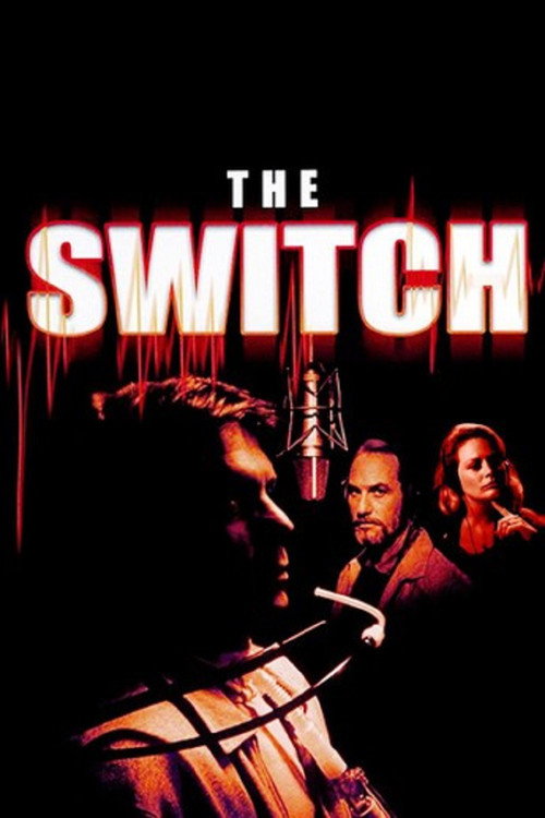 The Switch poster 2