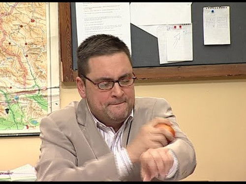 461 Povratak Boškića