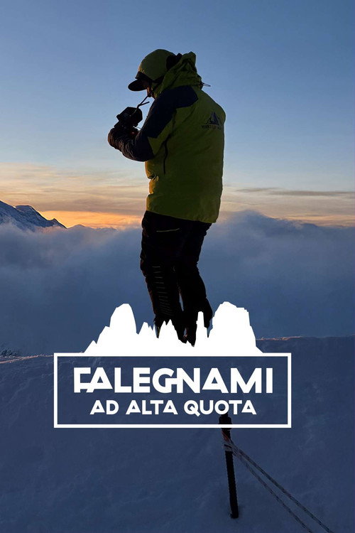 Falegnami ad Alta Quota电影海报