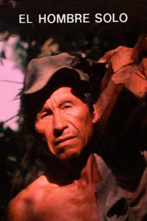 El hombre solo电影海报