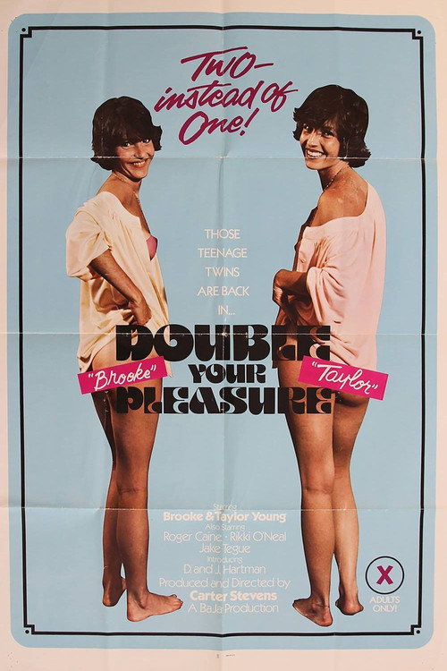 Double Your Pleasure poster 2
