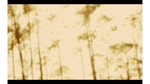 Backdrop