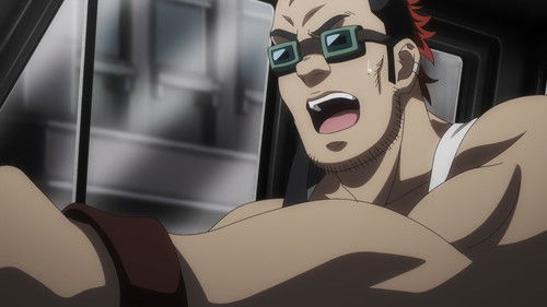 Tonight the Cats Steal the Stars