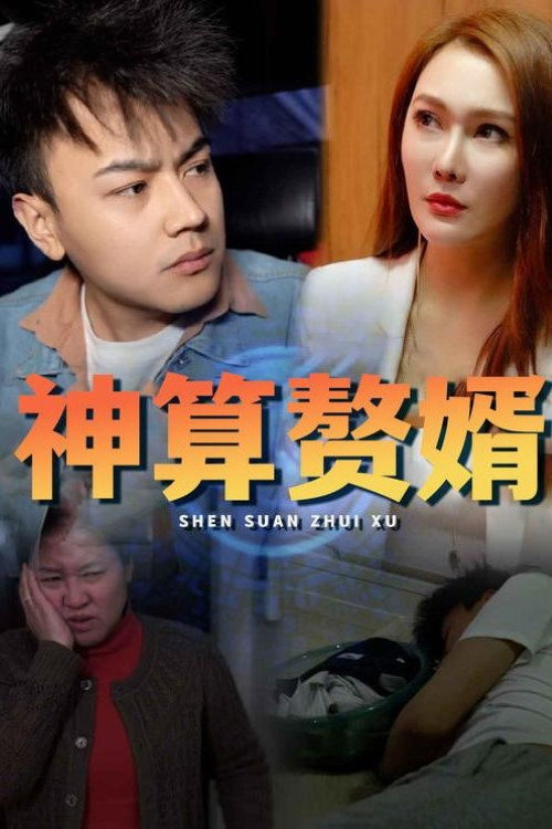 神算赘婿电影海报