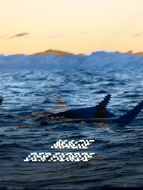 NORWAY´S MAGICAL FJORDS Poster