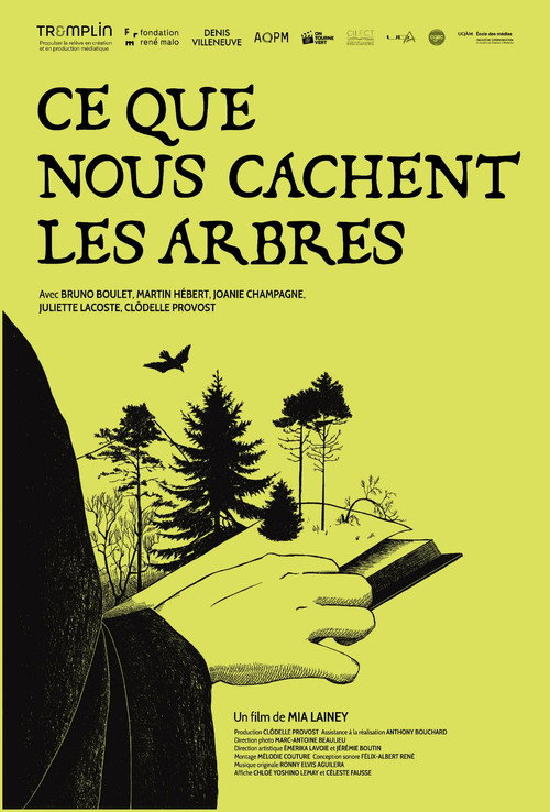 Ce que nous cachent les arbres