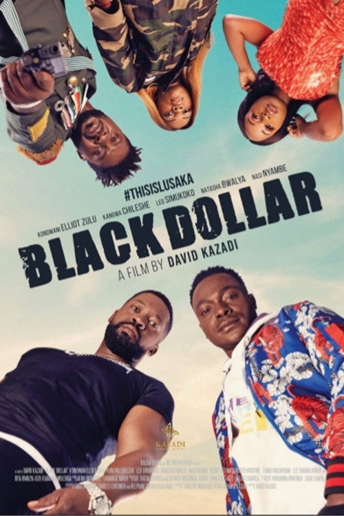 Black Dollar poster 2