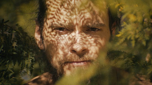 Out of the Woods